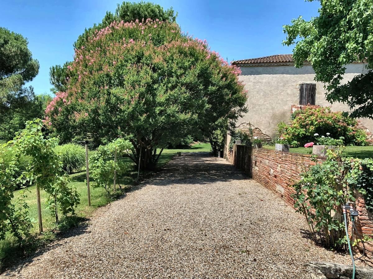 Une allée du domaine sous les arbres en fleurs